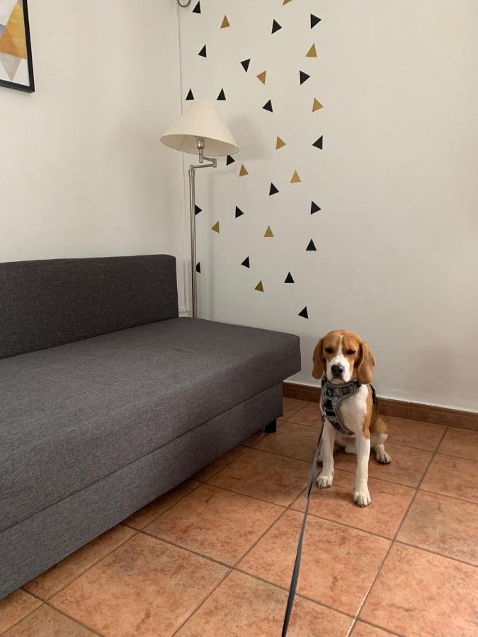 Apartamento La Calleja *